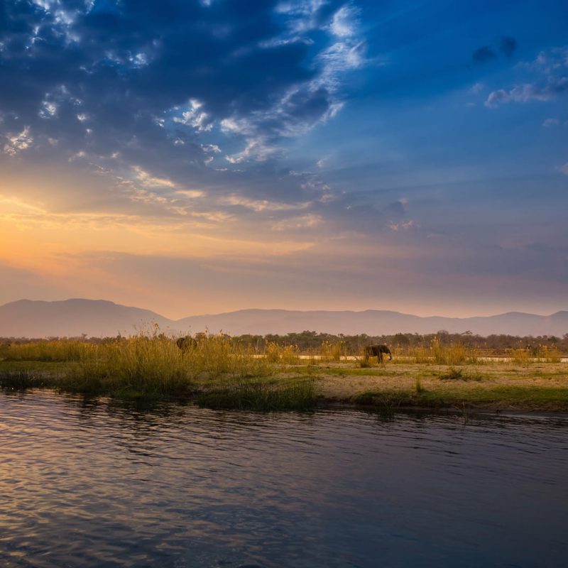 Zambia